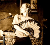 Flamenco_Barbara Hennerfeind